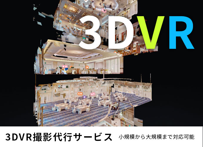 3DVR